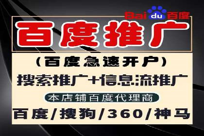 专业SEM推广托管，案例见证效果